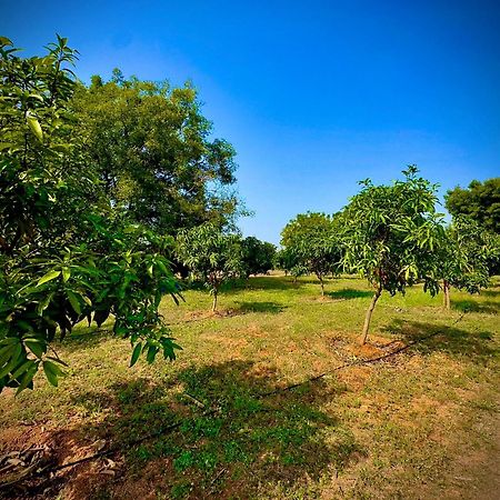 Mangohut Farmhouse Pool Villa Hyderabad Esterno foto