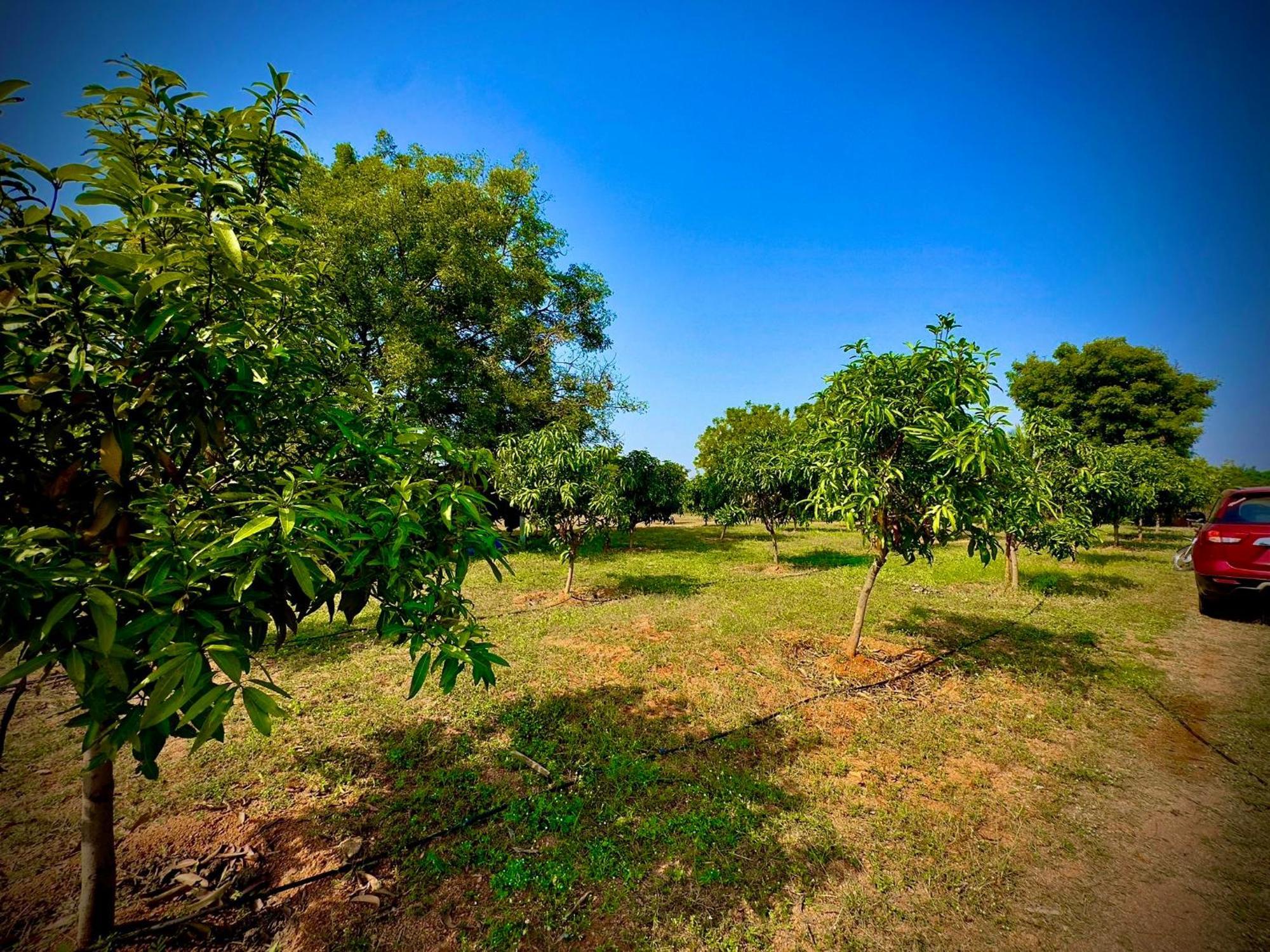 Mangohut Farmhouse Pool Villa Hyderabad Esterno foto