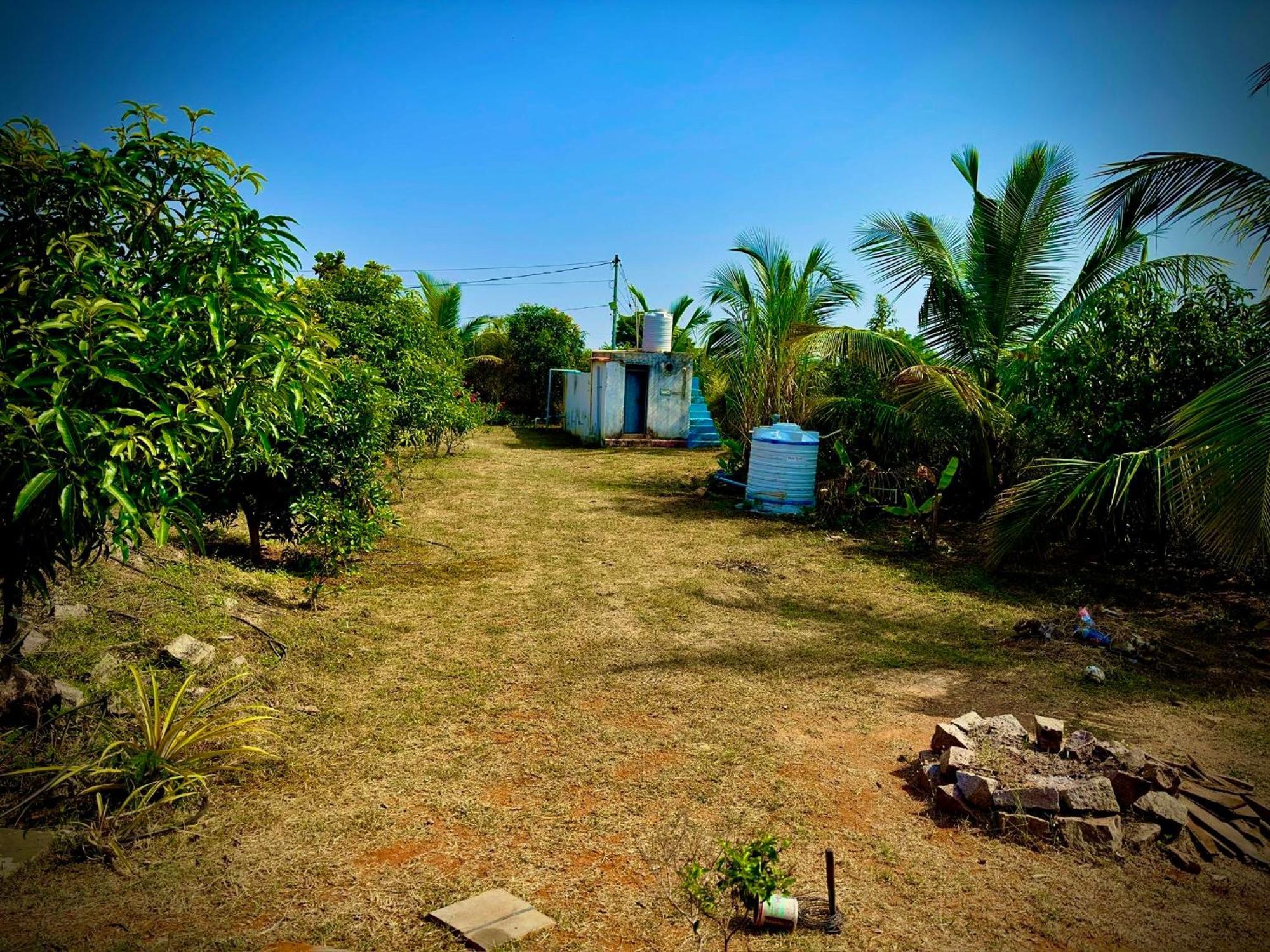 Mangohut Farmhouse Pool Villa Hyderabad Esterno foto