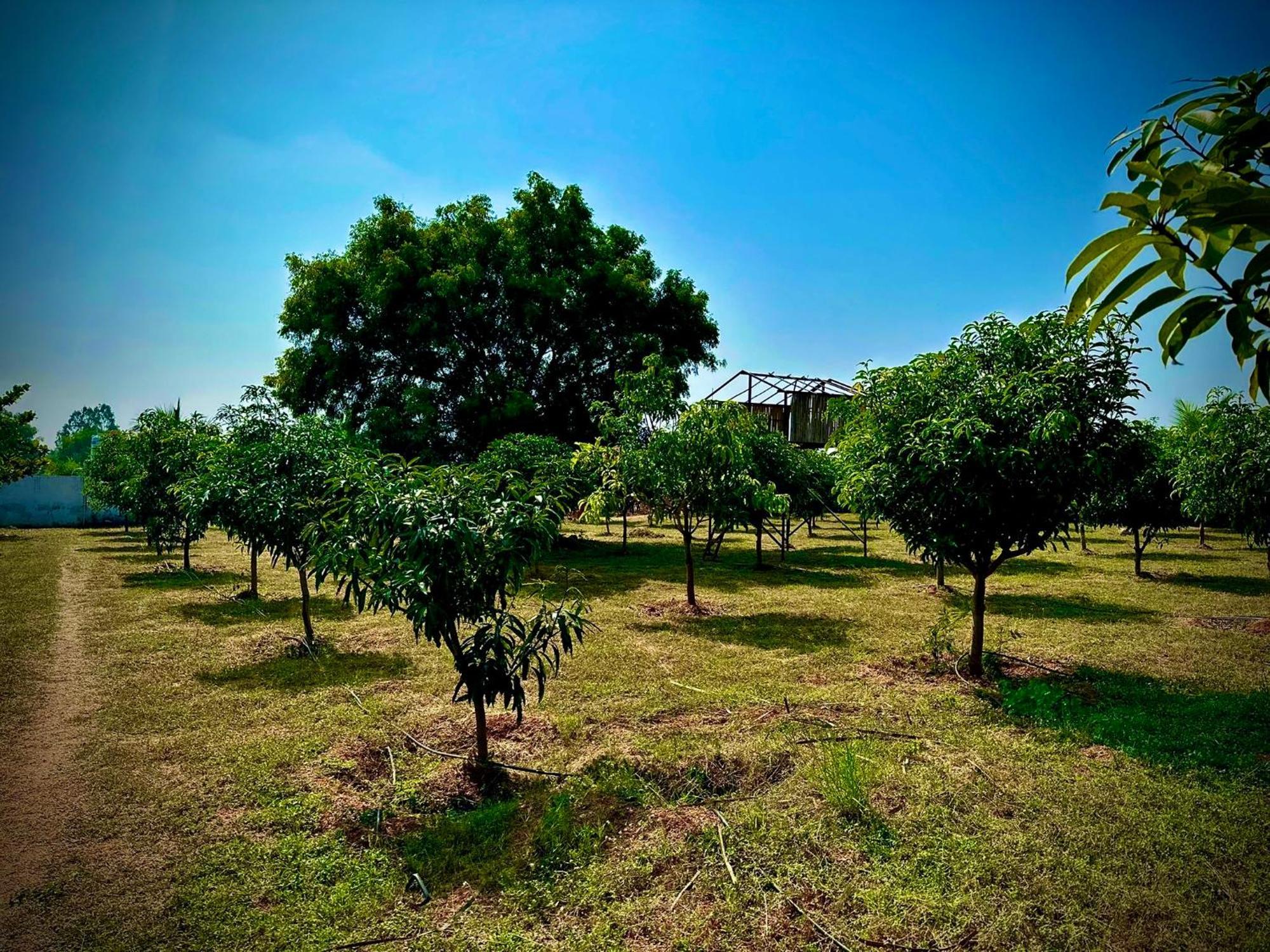 Mangohut Farmhouse Pool Villa Hyderabad Esterno foto